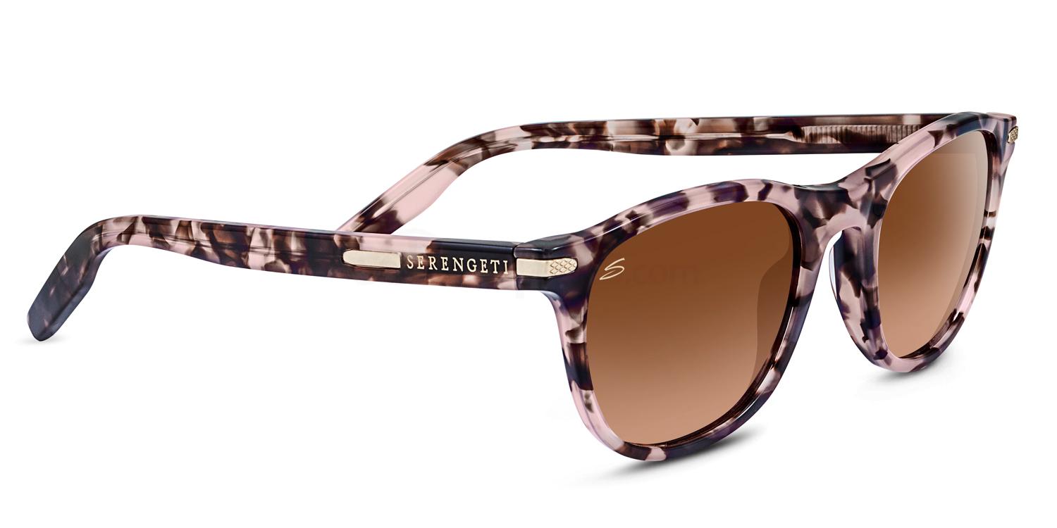 Sergenti Way-farer sunglasses