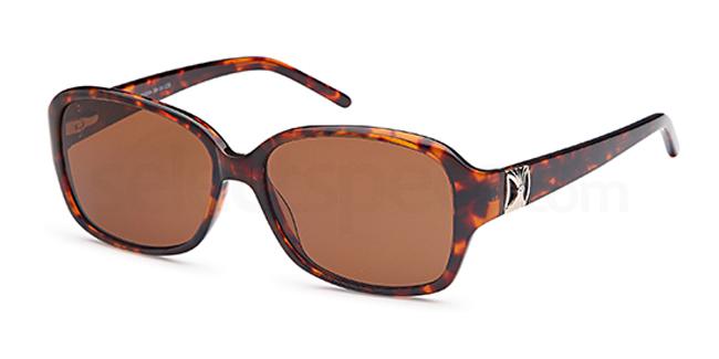 Carducci sunglasses 