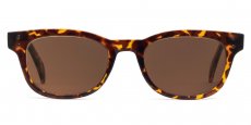 Indium - P2249 Havana (Sunglasses)