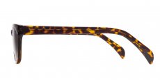 Indium - P2249 Havana (Sunglasses)