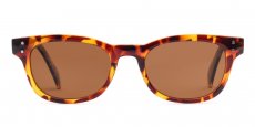 Neon - P2249 Havana (Polarized)