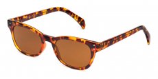 Neon - P2249 Havana (Polarized)