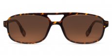 Indium - P2395 - Demi Havana (Sunglasses)