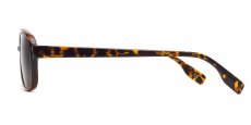 Indium - P2395 - Demi Havana (Sunglasses)