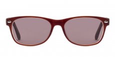 Helium - S8122 - Brown (Sunglasses)