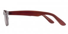 Helium - S8122 - Brown (Sunglasses)