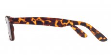 Helium - S8122 - Tortoise (Sunglasses)